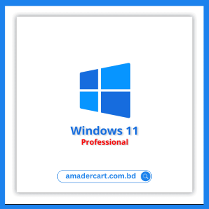 Windows 11 Pro (License Key)